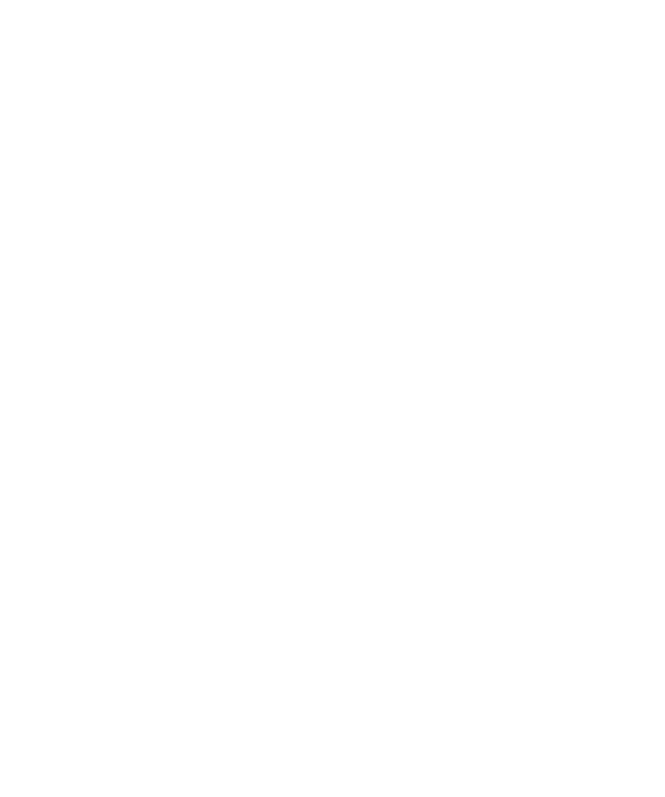 Insight Gestão